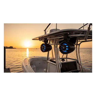 Altavoz de Torre / 6.5" / 75W RMS / IPX6 / RGB Controlador Incluido / 87 dB / 4 Ohm - Imagen 2