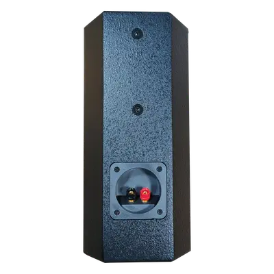 Altavoz Profesional / 2 Vías 6.5" + 3" / 100W RMS 400W Pico / Respuesta 90Hz-20kHz / Cobertura 110°×80° / MDF Reforzado / Montaje Multipunto - Imagen 2